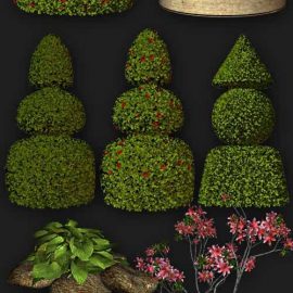 Garden flowers and plants clipart PNG