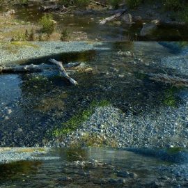 Gumroad – Creating Rivers Using Octane and Cinema 4D Free Download