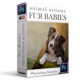 LSP Actions – FUR BABIES – Photoshop Action Suite for dogs and other animals