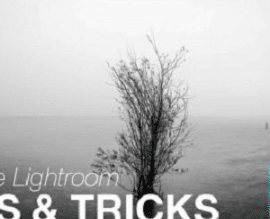 Adobe Lightroom Tips & Tricks Everyone Needs to Know