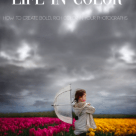 Clickinmoms – Life in Color: Creating bold, rich color in your photographs