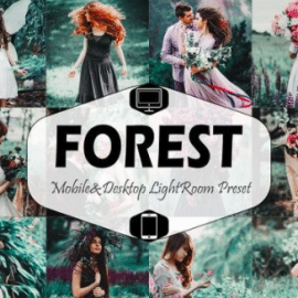 Forest Mobile & Desktop Lightroom Presets