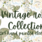 Vintage Rose Collection 4240626