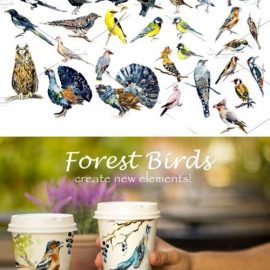 Watercolor Forest Birds. Frames 4226089