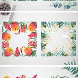 Watercolor Protea Frames and Wreath 4224481