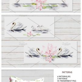 Watercolor Swans 4164470