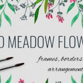 Wild Meadow Flowers Frames Borders 4253265