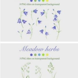 Bluebells and Meadow Herbs 3962829 Free Download