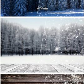 CM 1083774 Real Snowflakes Brush Free Download