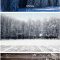 CM 1083774 Real Snowflakes Brush Free Download