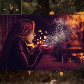 CreativeMarket 135 Glitter Overlays 4791103 Free Download