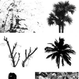 High Quality Nature Brushes for Photoshop Free Download