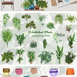 House Plants Watercolor Clip Art Free Download