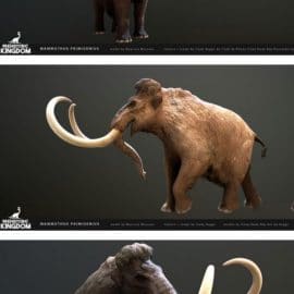 Mammuthus primigenius Free Download