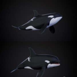 Orca Free Download