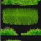 PNG clipart Grass Free Download