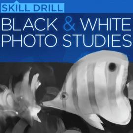 Ctrl+Paint – Black and White Photo Studies (Skill Drill)