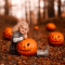 ShootCreateCaptivate – “My Little Pumpkin” – Post Processing Tutorial