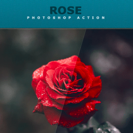 GraphicRiver – Rose Photoshop Action 26797254