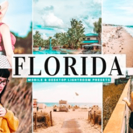 Florida Mobile & Desktop Lightroom Presets