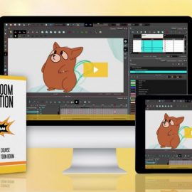 Toon Boom Animation Course Free Download