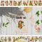 Tropical Alphabet and Numbers Free Download