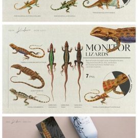 Vintage Lizards Retro Illustrations Free Download