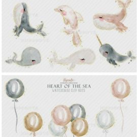 Watercolor Whale Cliparts 4033050 Free Download