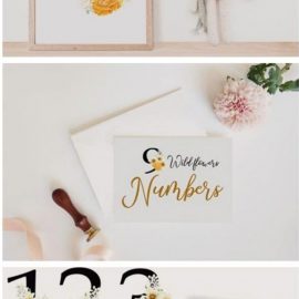 Wild Flowers Alphabet and Numbers 3964399 Free Download