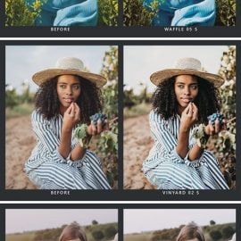 20 Blueberry Lightroom Presets & LUTs Free Download