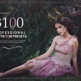 3000+ Professional Lightroom Presets Download