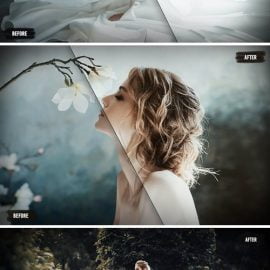 50 Film Wedding LUTs (Look Up Tables) Free Download