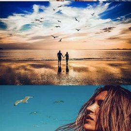 CreativeMarket 46 Seagull Photo Overlays 5224595 Free Download