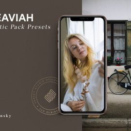 CreativeMarket – CINEAVIAH Lightroom Desk & Mobile Pr 4945478