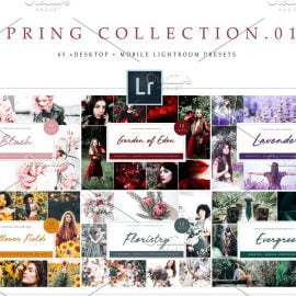 CreativeMarket – Spring Collection Lightroom Presets 4795125