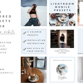 CreativeMarket – Stylish presets for Lightroom Mobile 4794481