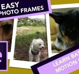 Easy and Fun Photo Frame Animation: Learn basic After Effects skills Free Download