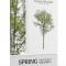 Forest Digital Spring Trees Vol. 2 Free Download