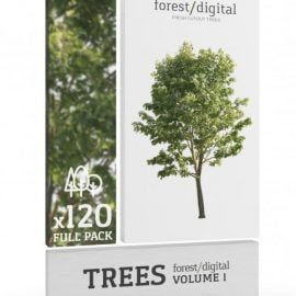 Forest Digital Trees Vol. 1 Free Download