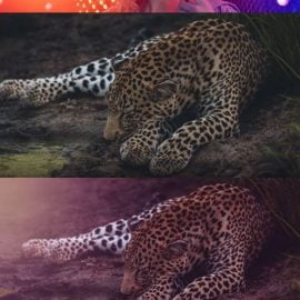 Glorious Light Pack for Affinity Photo [Styles/Gradients] Free Download