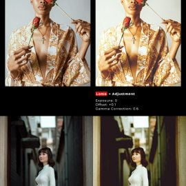 GraphicRiver Lomo Portrait Action 23267456 Free Download