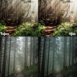 GraphicRiver Outdoor Lightroom Presets 28024379 Free Download