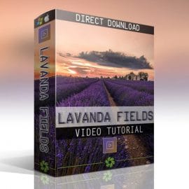 LAVANDA FIELDS – VIDEO TUTORIAL