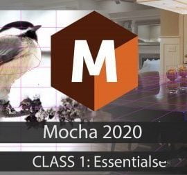 Mocha 2020: Essentials Free Download