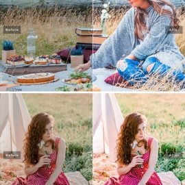 Picnic Mobile & Desktop Lightroom Presets Free Download