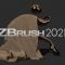 Pixologic Zbrush 2021.1.1 Win x64 Free Download