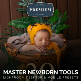 GraphicRiver – Master Newborn Lightroom Desktop & Mobile Presets 27665516