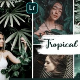 Tropical Rain Mobile & Desktop Presets | Summer ligthroom presets