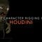 Udemy – Game Character Rigging with Houdini Free Download