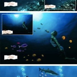 40 Sea Fish Overlays 4926997 Free Download